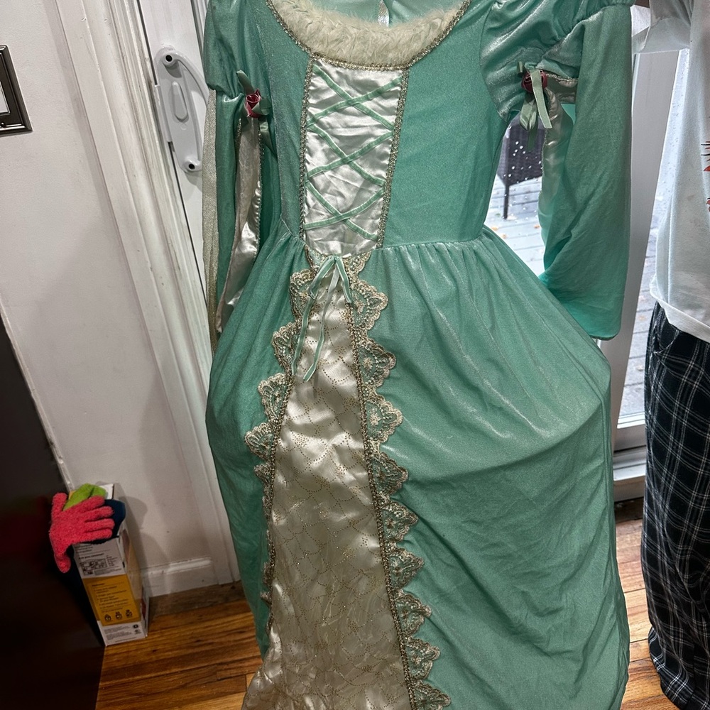 Elegant Green and Cream Costume Gown